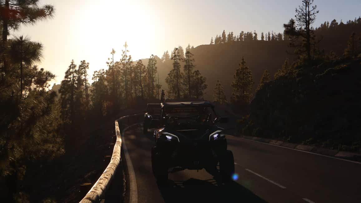 billede nr.26 af aktiviteten Tenerife: Teide Buggy Tour om morgenen eller ved solnedgang i Kanarieøerne, uploadet af udbyder