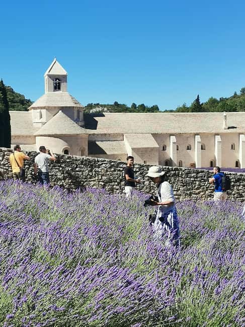 imagem n.4 de De Marselha: Tour particular personalizado de um dia pela Provença atividade em Avignon, carregada pelo fornecedor