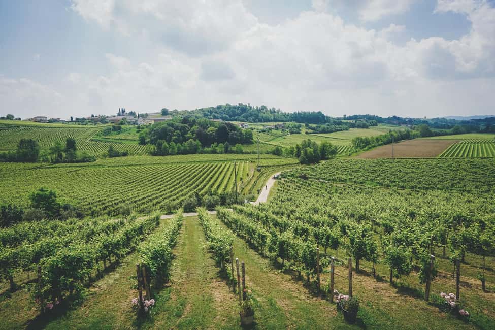 image n.5 of From Venice: Prosecco Wine Region Tour with 2 Tastings activity in Venice, uploaded by supplier