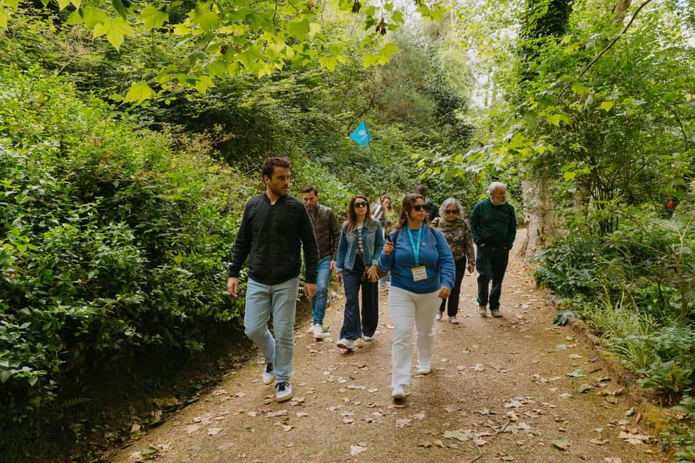 billede nr.10 af aktiviteten Fra Lissabon: Sintra, Regaleira og Pena-paladset - guidet tur i Sintra, uploadet af udbyder