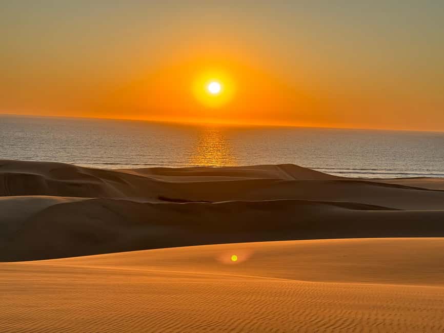image n.26 of Walvisbay: Sandwich Harbour 4x4 Tour-Unparalleled Experience activity in Erongo, uploaded by supplier