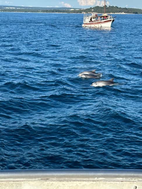 Bild Nr. 46 von Pula: Delfinbeobachtung & Sonnenuntergangskreuzfahrt mit Abendessen & Getränken Aktivität in Pula, Kroatien, hochgeladen vom Anbieter