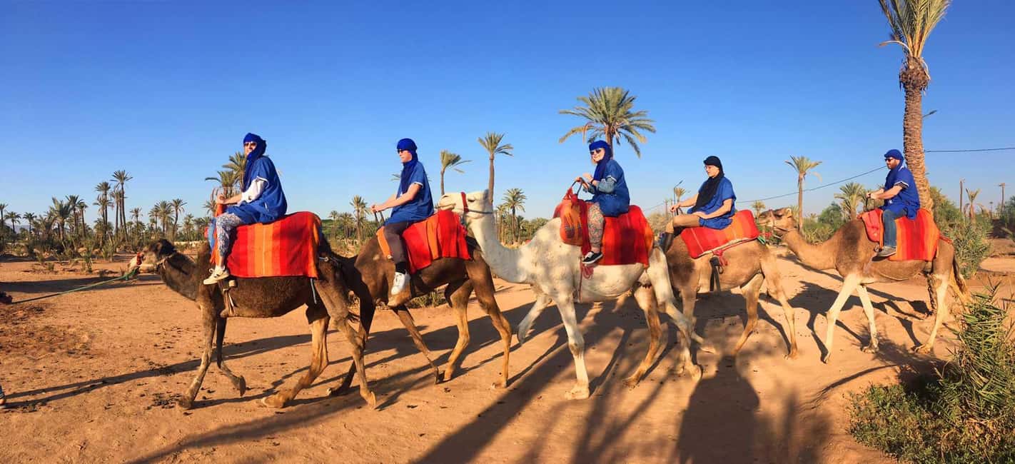 imagen n.º 7 de Marrakech: Medio día de paseo en camello por el Palmeral actividad en Marrakech, subida por el proveedor