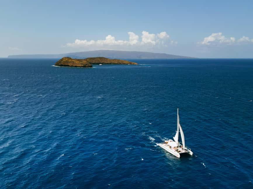 image n.11 of Maui: Molokini Snorkel and Performance Sail with Lunch activity in Hawaii, uploaded by supplier