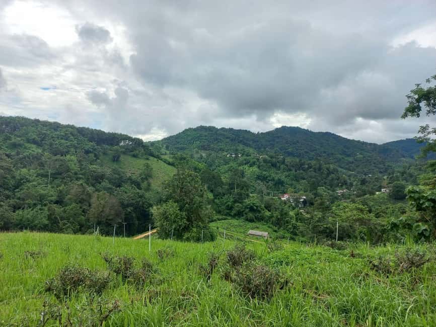 image n.21 of Chiang Rai Trek: 4 Hilltribes Villages & Waterfall Only Walk activity in Chiang Rai, uploaded by supplier