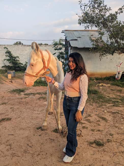 image n.4 of Bangalore: Horse Riding Safari Tour activity in Bangalore, uploaded by supplier