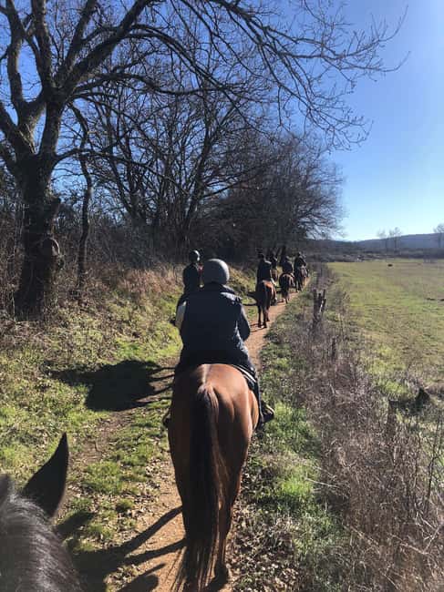 Immagine nº 1 di Siena: Tour a Cavallo Sulla via Francigena attività a Monteriggioni, caricata dal fornitore