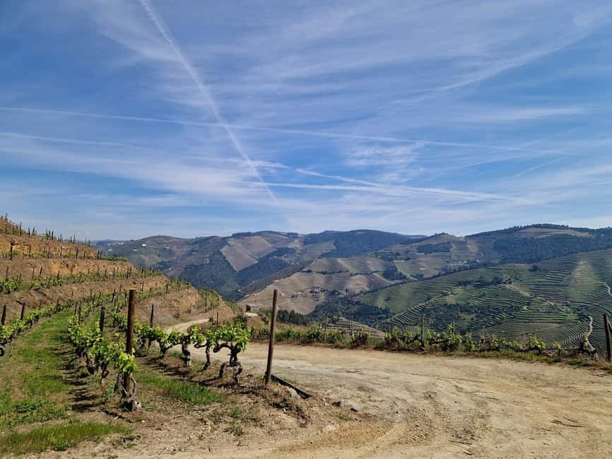 image n.30 of DOURO VALLEY: Premium Wine Tour, Winery Lunch & Private Boat activity in Peso da Régua, uploaded by supplier