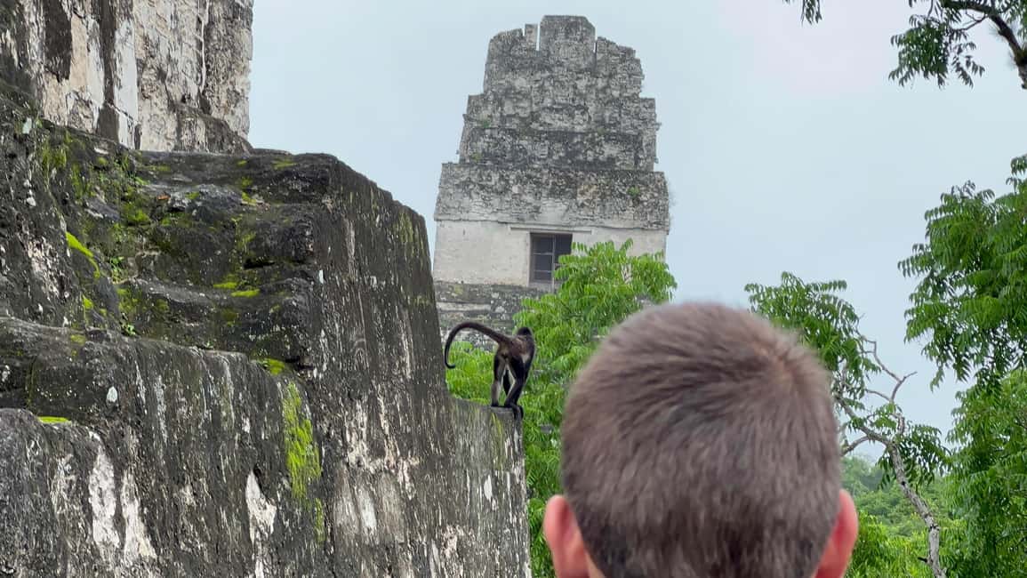 image n.9 of Tikal Sunrise, Archeological focus and Wildlife Spotting activity in Flores, Guatemala, uploaded by supplier