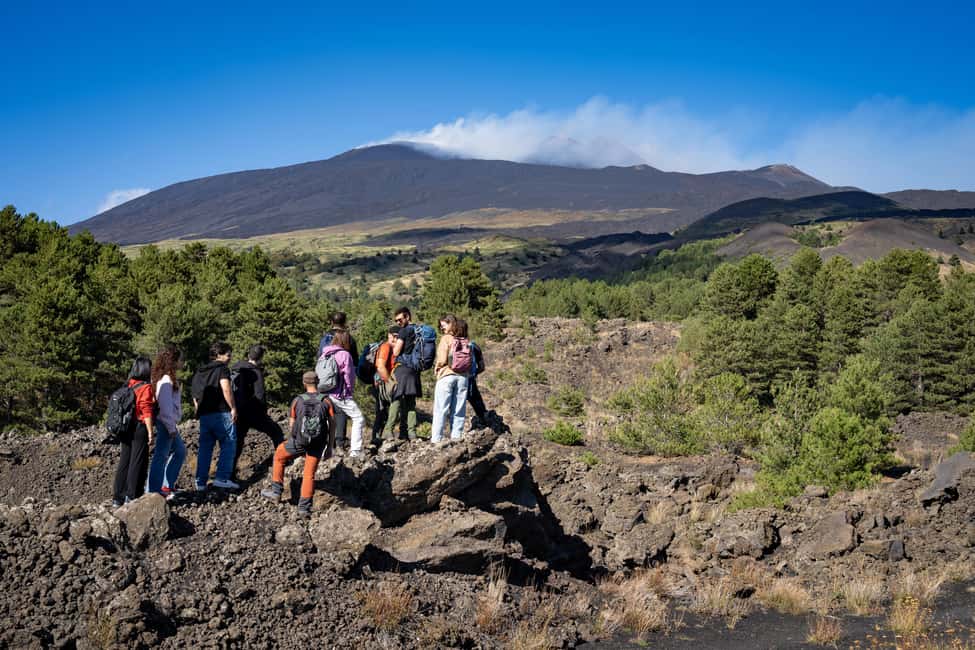 image n.11 of Catania: Etna Tour on the North Side with Pickup & Drop-off activity in Sicily, uploaded by supplier