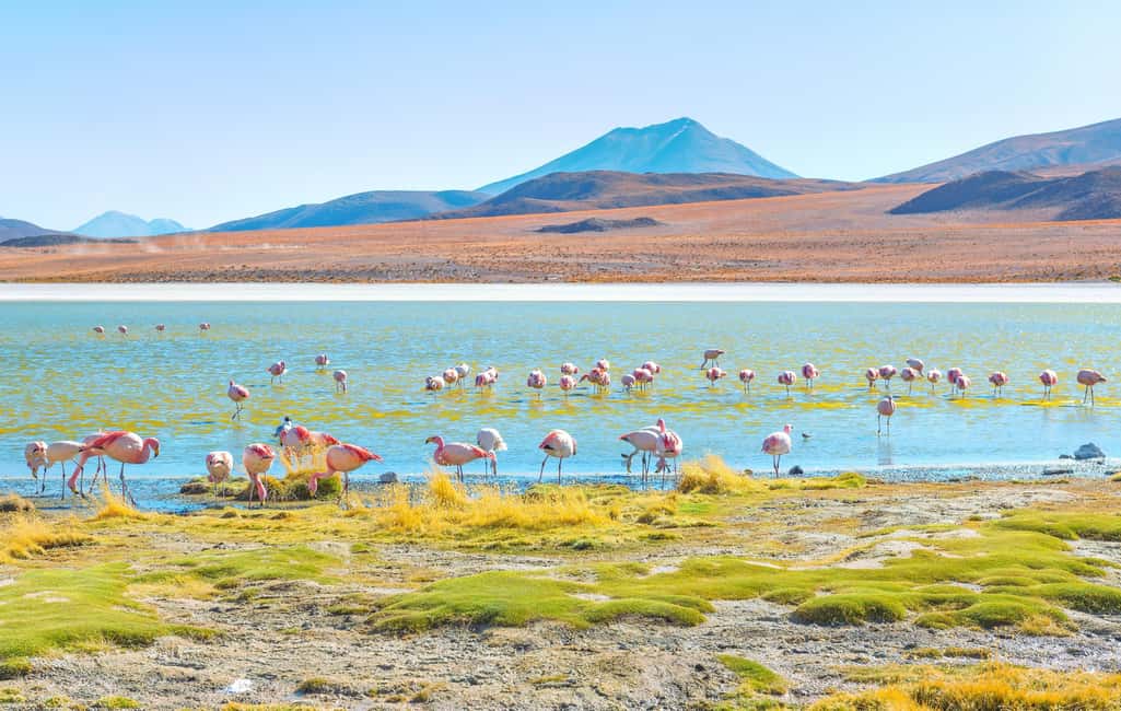 imagem n.1 de De Uyuni: Laguna Colorada e Salar de Uyuni 3 dias + refeições atividade em Uyuni, carregada pelo fornecedor