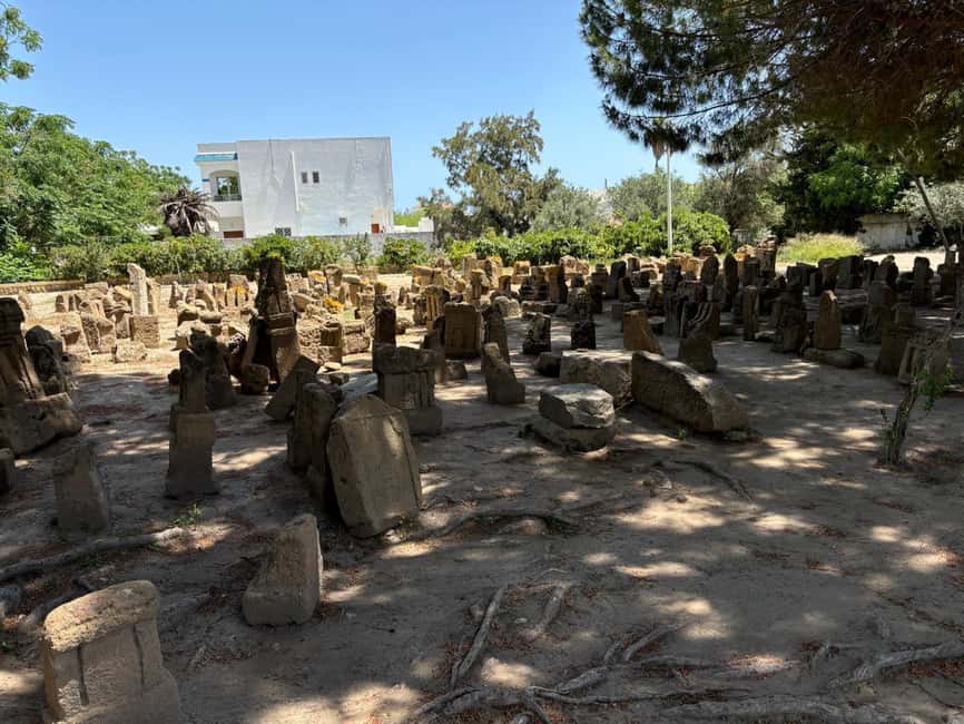 Image N°6 de Journée privée médina de Tunis Carthage Sidi Bousaid avec déjeuner activité à Monastir, publiée par le prestataire