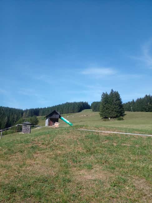 Bild Nr. 5 von Alp Mountains Tour Aktivität in Tirol, hochgeladen vom Anbieter