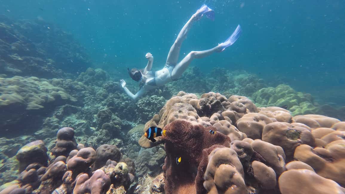 image n.14 of Koh Lipe: Longtail Boat Snorkeling Trip with Lunch activity in Gulf of Thailand, uploaded by supplier