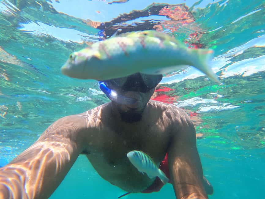 image n.6 of Zanzibar: Blue lagoon, Starfish, Paje Beach and Maalum Cave activity in Pingwe, uploaded by supplier
