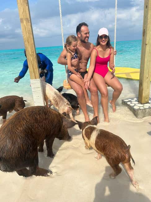 Image N°37 de Nassau : Cochons, plongée en apnée, tortues, déjeuner, club de plage privé activité à New Providence, publiée par le prestataire