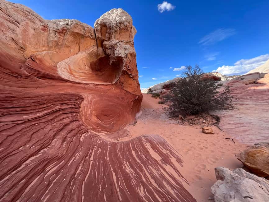 image n.8 of Kanab: White Pocket Rock Formation Tour (Small Group) activity in Arizona, uploaded by supplier