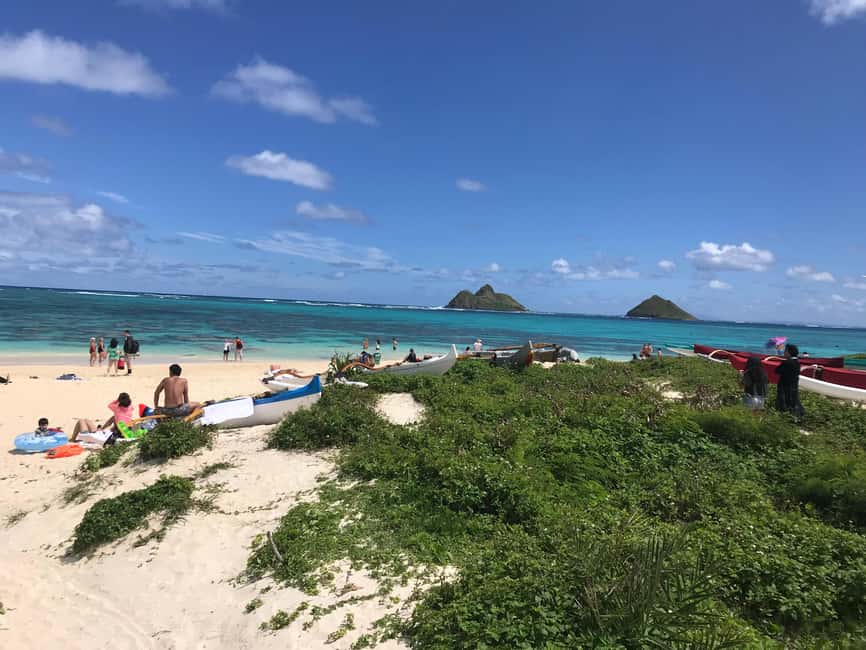Immagine nº 16 di Oahu: Escursione alle cascate di Manoa e giornata sulla spiaggia del lato est attività a Honolulu, caricata dal fornitore