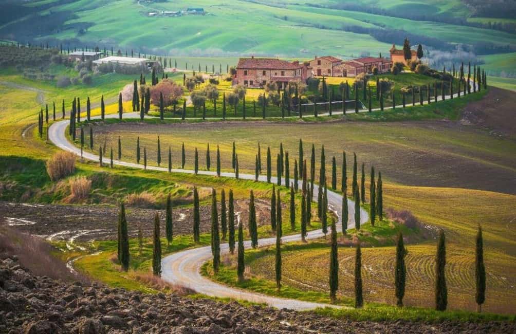 image n.19 of From Florence: Tuscany Hills Wine Tour activity in Montepulciano, uploaded by supplier