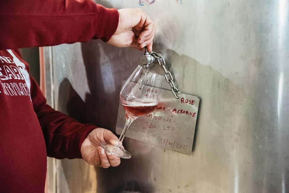 imagem n.16 de Loulé: Visita guiada e degustação de vinhos na Quinta da Tôr atividade em Loulé, carregada pelo fornecedor
