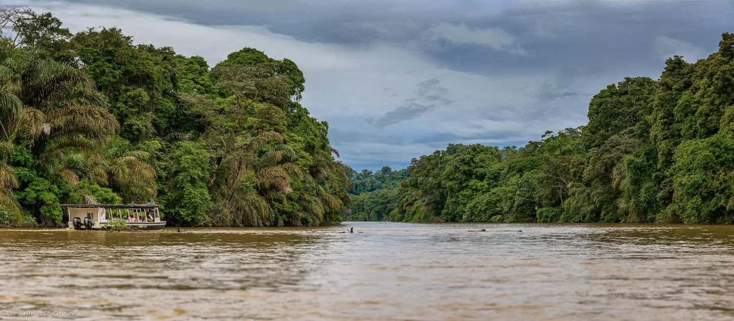 image n.2 of Tortuguero: Guided Tours and Hikes activity in Limón Province, uploaded by supplier