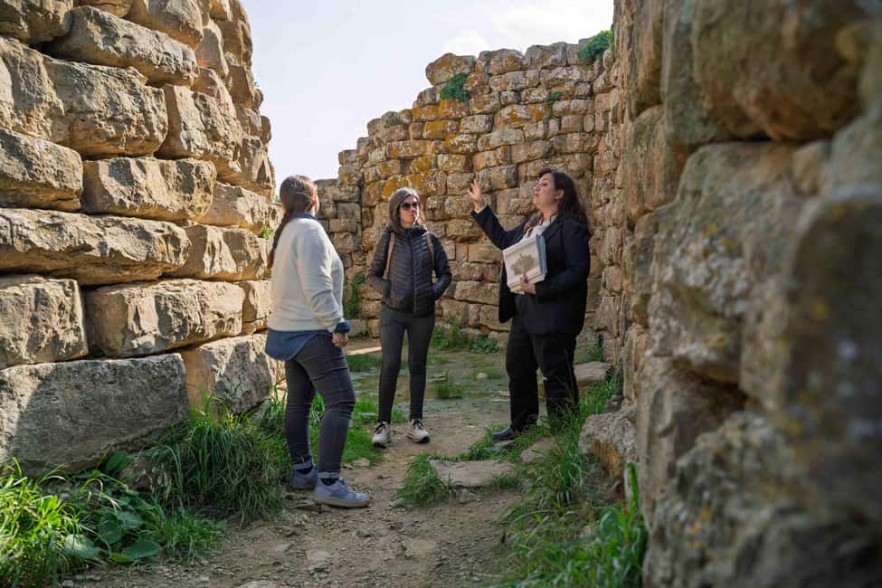 Immagine nº 4 di Il tour del nuraghe: Escursione di un giorno da Cagliari attività a Comune di Suelli, caricata dal fornitore