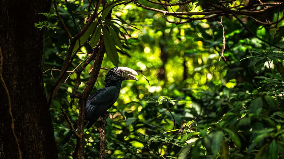 image n.14 of Zanzibar: 3-Day Northern Safari with Flights Included activity in Arusha (Region), uploaded by supplier