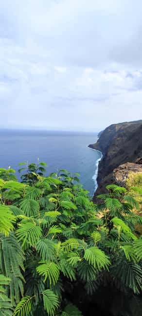 billede nr.11 af aktiviteten Madeira "Mystery Tour" heldags - privat 4x4-jeep i Estreito de Câmara de Lobos, uploadet af udbyder