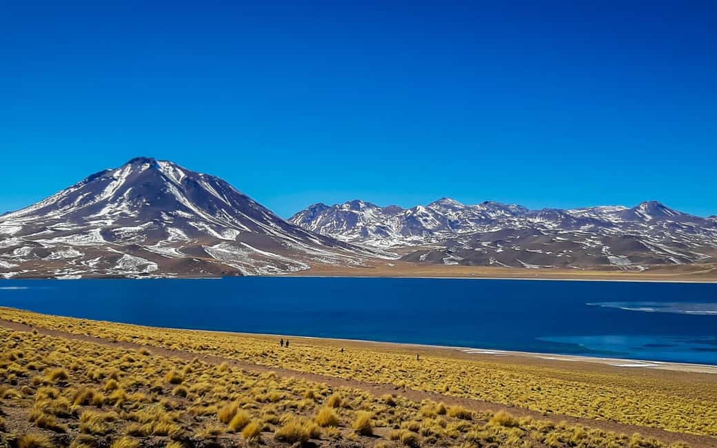 image n.2 of Triple tour: Red stones, highland lagoons and Chaxa Lagoon activity in North Chile, uploaded by supplier