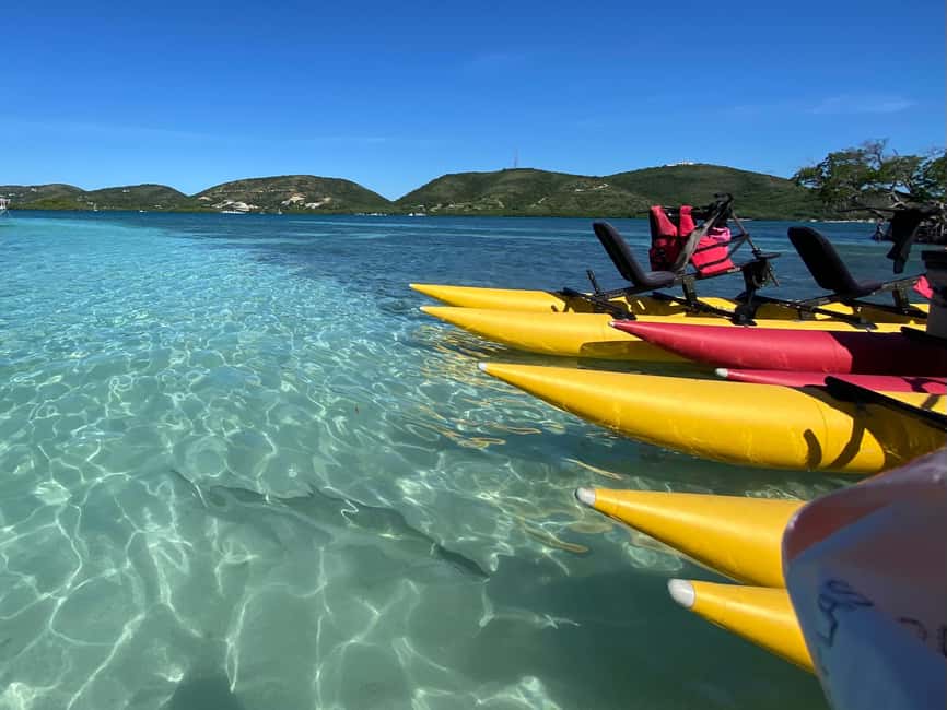 bild nr.11 av La Parguera: Chiliboats vattencykeläventyrstur aktivitet i Västra regionen, Puerto Rico, uppladdad av arrangören