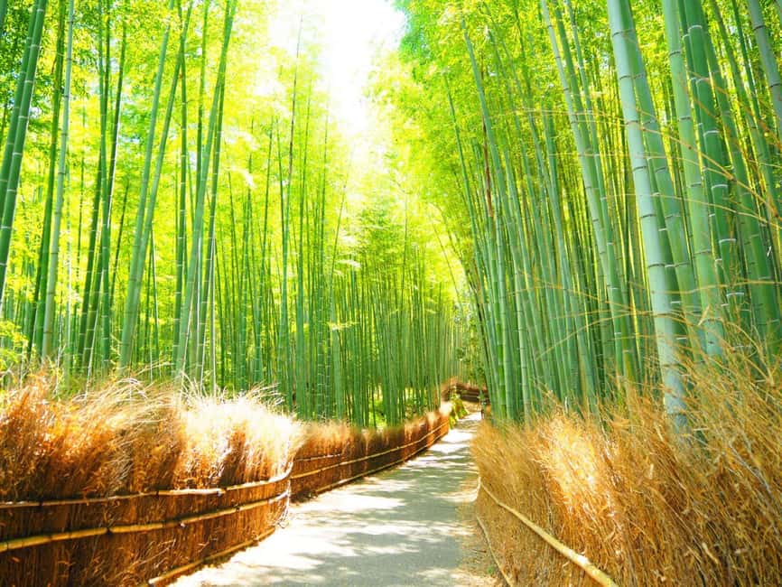 image n.1 of Traversing Kyoto's Scenic West - Arashiyama to Kinkakuji activity in Kyoto, uploaded by supplier