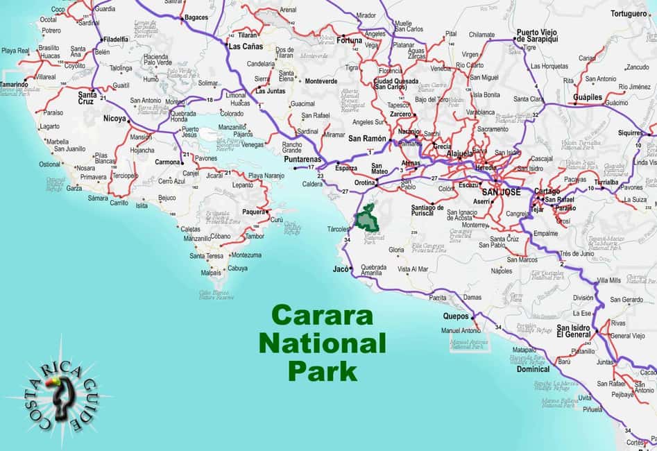 image n.4 of Carara National Park: Best Tour Carara National Park-One Day activity in Puntarenas Province, uploaded by supplier