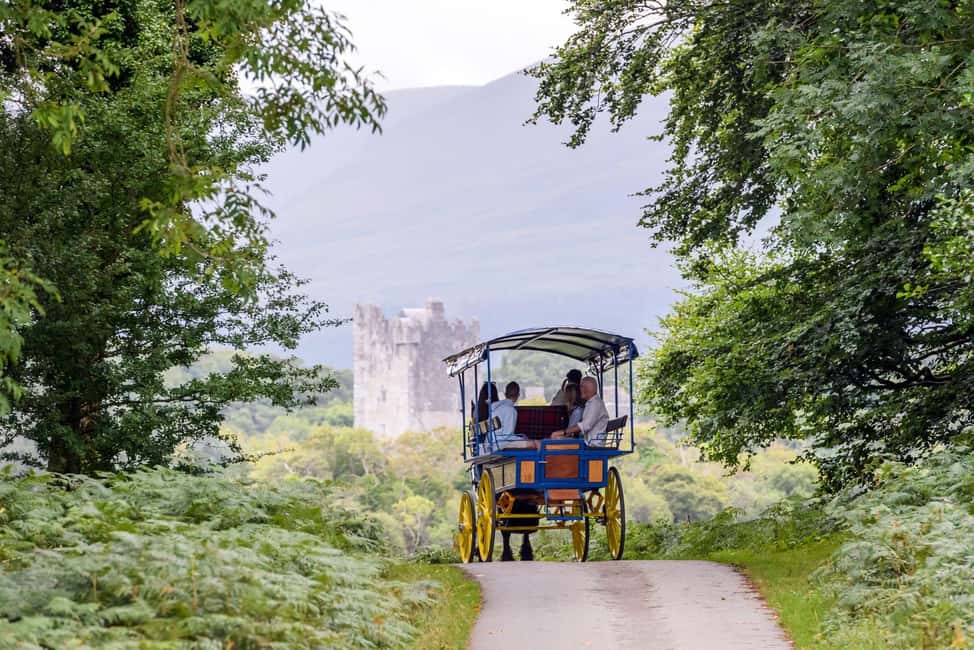 image n.5 of Killarney: Views & Brews Jaunting in Killarney National Park activity in Munster, Ireland, uploaded by supplier