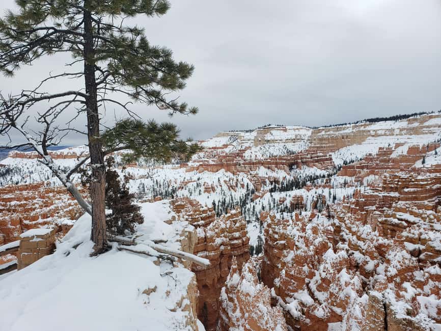 image n.46 of Small Group Tour Zion & Bryce Canyon National from Las Vegas activity in Utah, uploaded by supplier