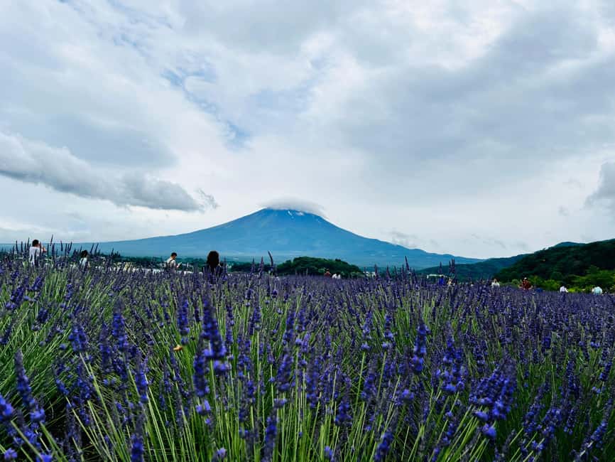 obrázek č.18 aktivity Z Tokia: Celodenní soukromá prohlídka hory Fuji s možností přizpůsobení v destinaci Hakone, nahraný poskytovatelem aktivity