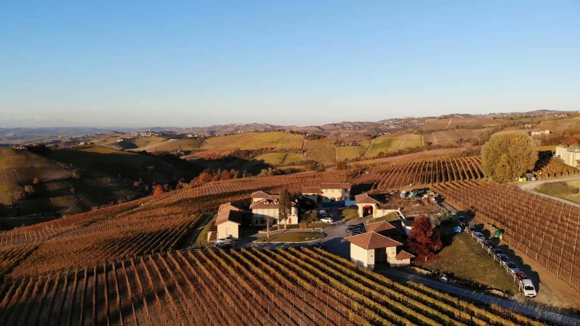 billede nr.6 af aktiviteten Monforte d'Alba: Barolo-smagning, vingårds- og kælderbesøg i Monforte d'Alba, uploadet af udbyder