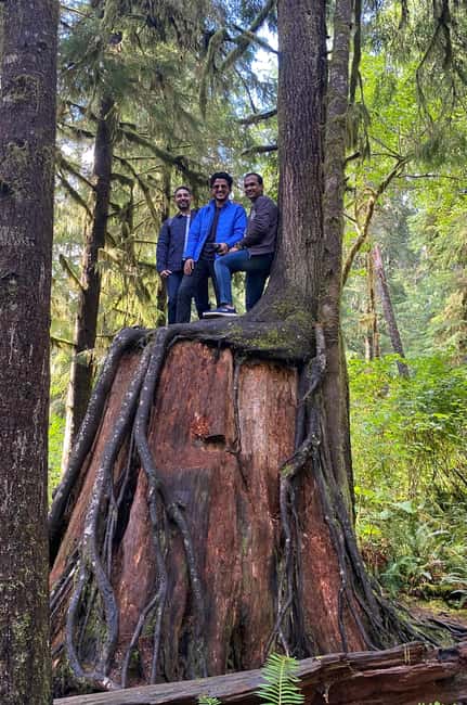 imagem n.4 de Destaques da floresta tropical e do Parque Nacional Olímpico atividade em Port Angeles, carregada pelo fornecedor