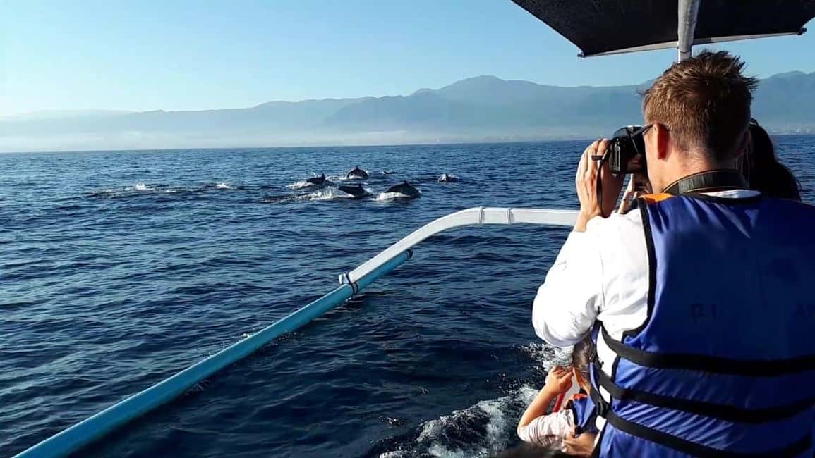 image n.6 of Bali dolphin, swim & snorkeling in Lovina Bali activity in Lovina, uploaded by supplier