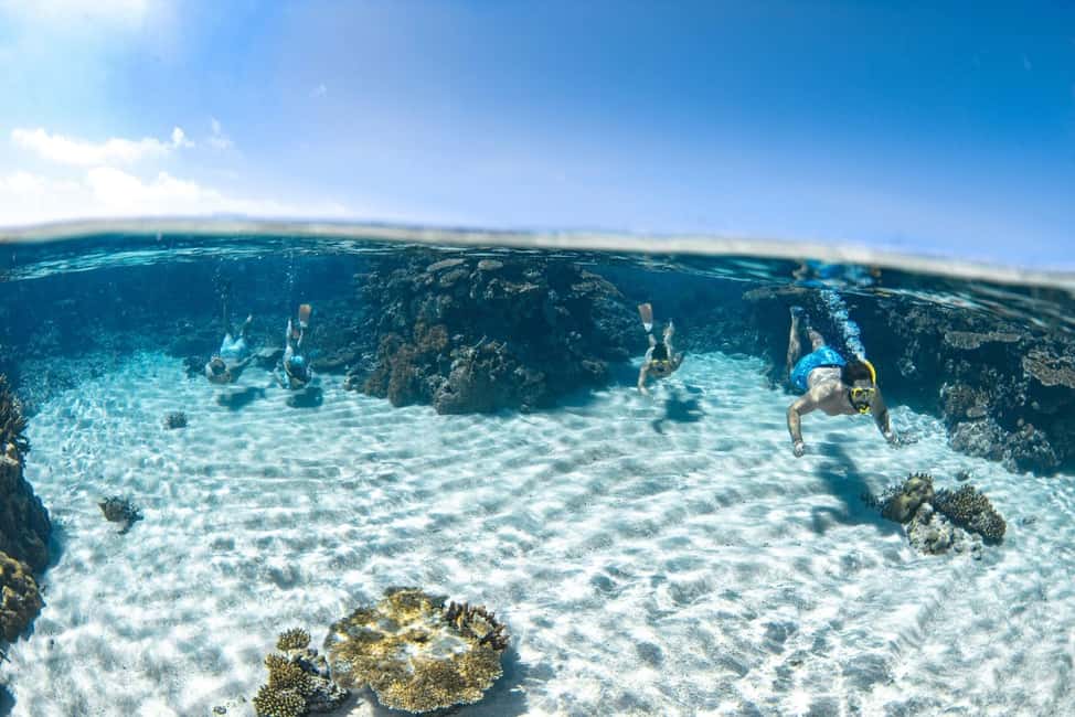 image n.28 of From Cairns: Great Barrier Reef Snorkel & Dive Adventure activity in Cairns, uploaded by supplier