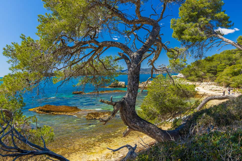 Cannes içindeki Cannes'dan: Ste. Marguerite Adası'na Gidiş-Dönüş Feribot etkinliğinin tedarikçi tarafından yüklenen 27 no'lu görseli