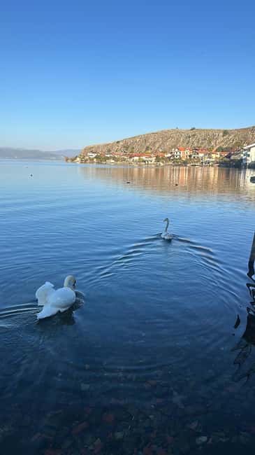 Bild Nr. 10 von Von Tirana: Ohrid-See, Drilon, Lin, Pogradec mit Mittagessen Aktivität in St. Naum, hochgeladen vom Anbieter