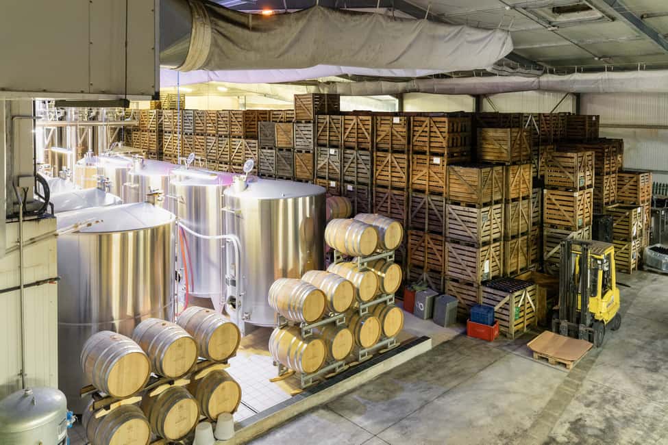 imagem n.9 de De Paris: Viagem de 1 dia para Champagne com 8 degustações e almoço atividade em Reims, carregada pelo fornecedor