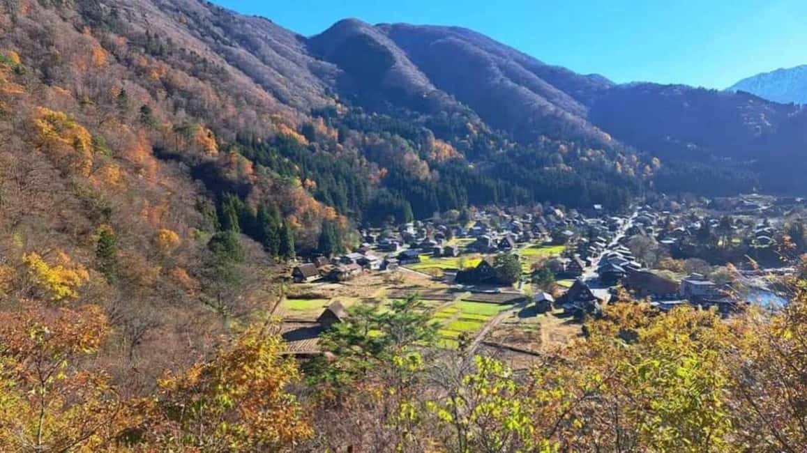 サプライヤーによってアップロードされた、高山の大阪発：プライベート白川郷・高山ツアーの画像#4