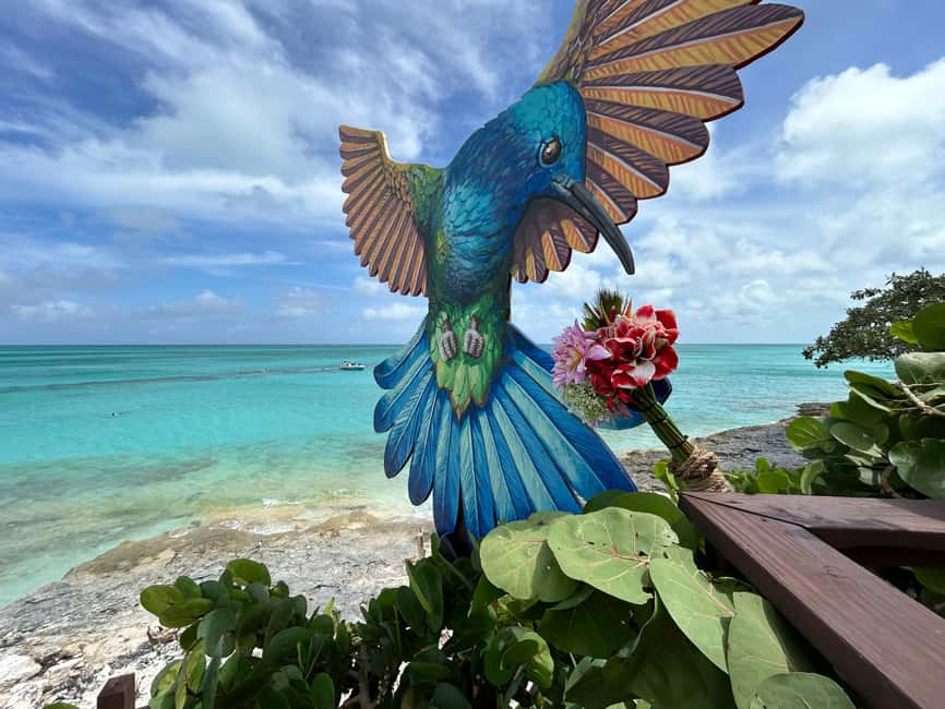 Image N°14 de Nassau : Cochons, plongée en apnée, tortues, déjeuner, club de plage privé activité à New Providence, publiée par le prestataire