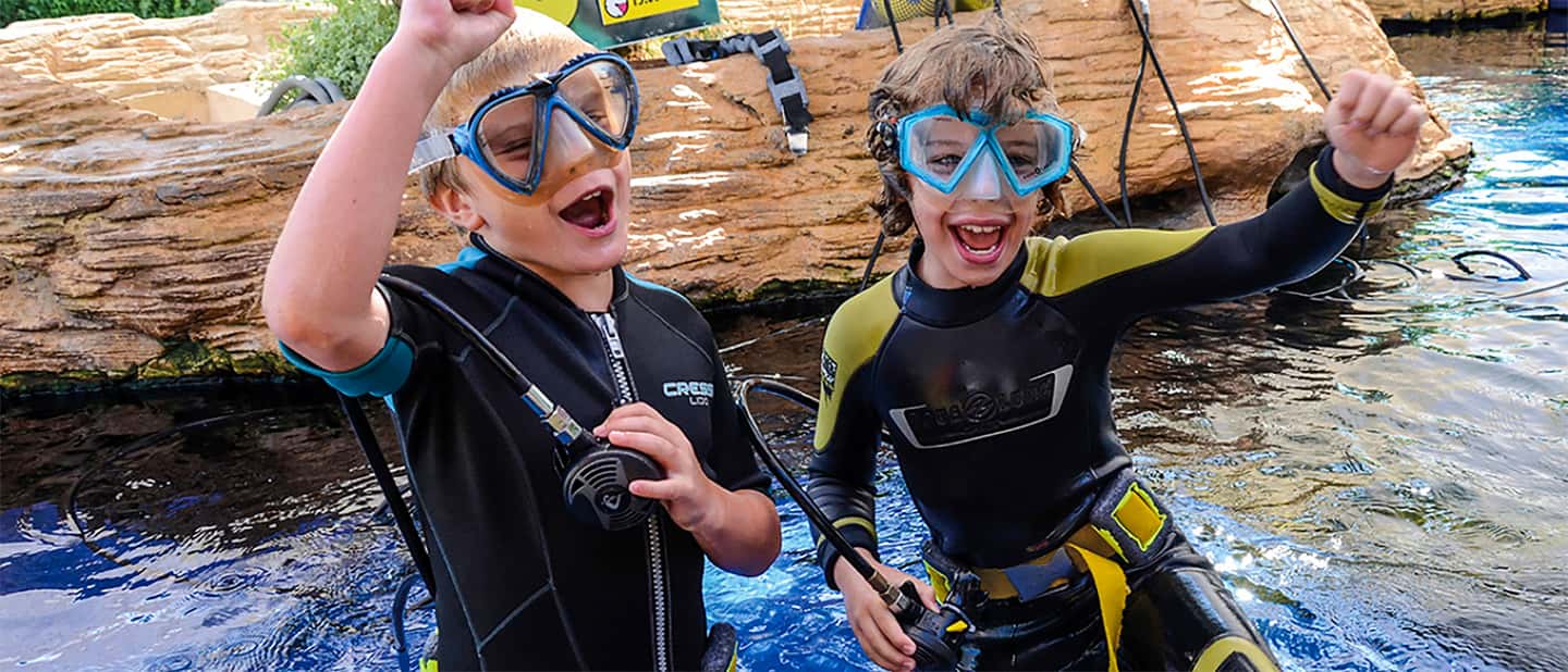 afbeelding n.17 van Mallorca: Toegangbewijs Palma Aquarium met Optionele 3D Bioscoop activiteit in Palma de Mallorca, geüpload door aanbieder