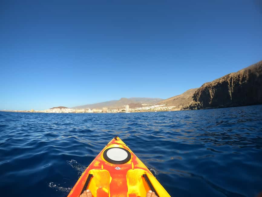image n.27 of Tenerife: Kayak & Snorkel Tour with Snacks & Sea Life Safari activity in Telde, uploaded by supplier