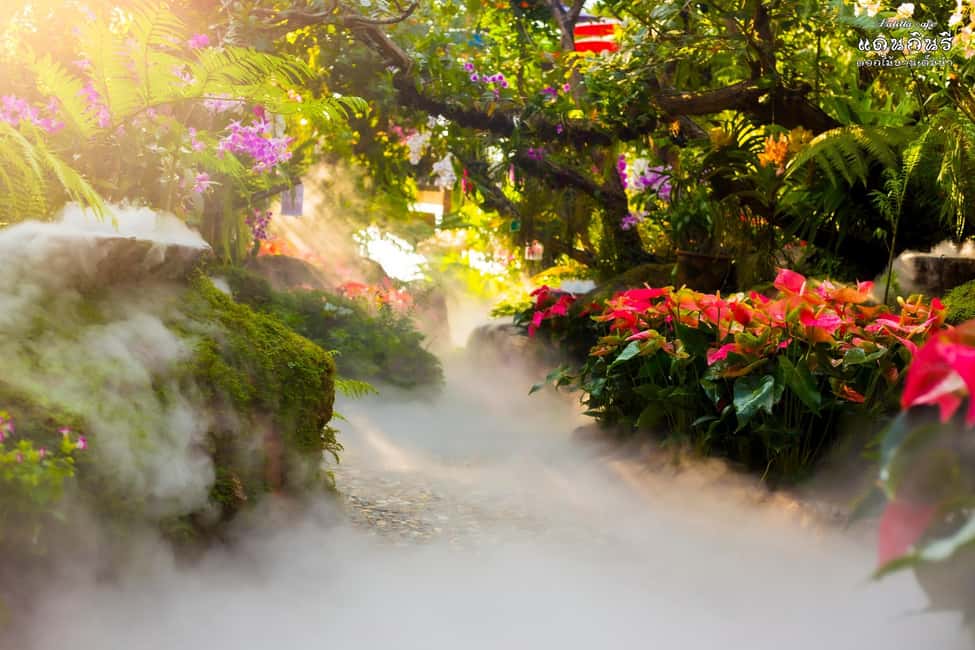image n.21 of Chiangmai to Chiangrai: 3 Temples, Hot Springs& Lalitta Cafe activity in Chiang Rai, uploaded by supplier