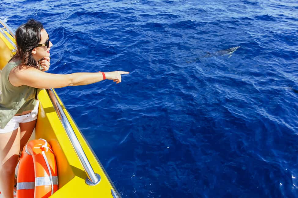 image n.5 of Puerto del Carmen: Dolphin-Watching Speedboat Tour with Swim activity in Puerto del Carmen, uploaded by supplier