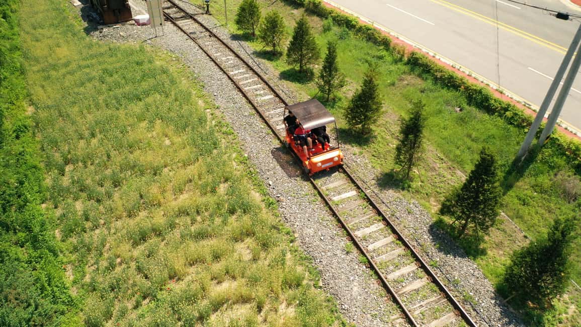 imagem n.8 de Seul: Mundo da Alpaca e Ilha Nami (+Gangchon Railbike) atividade em Gyeonggi, carregada pelo fornecedor