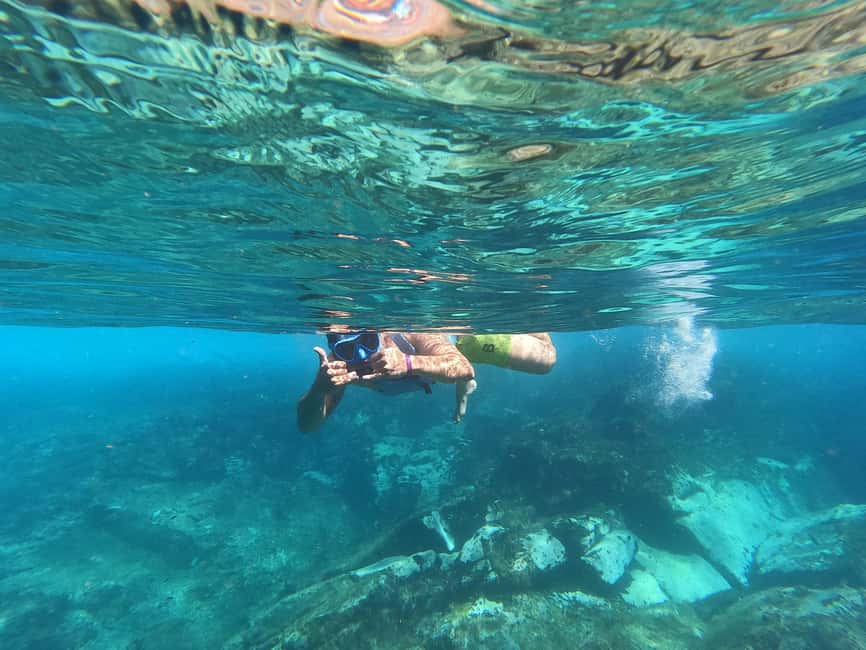image n.37 of Tenerife: Kayak & Snorkel with Turtles & Dolphins w/Photos activity in Los Cristianos, uploaded by supplier